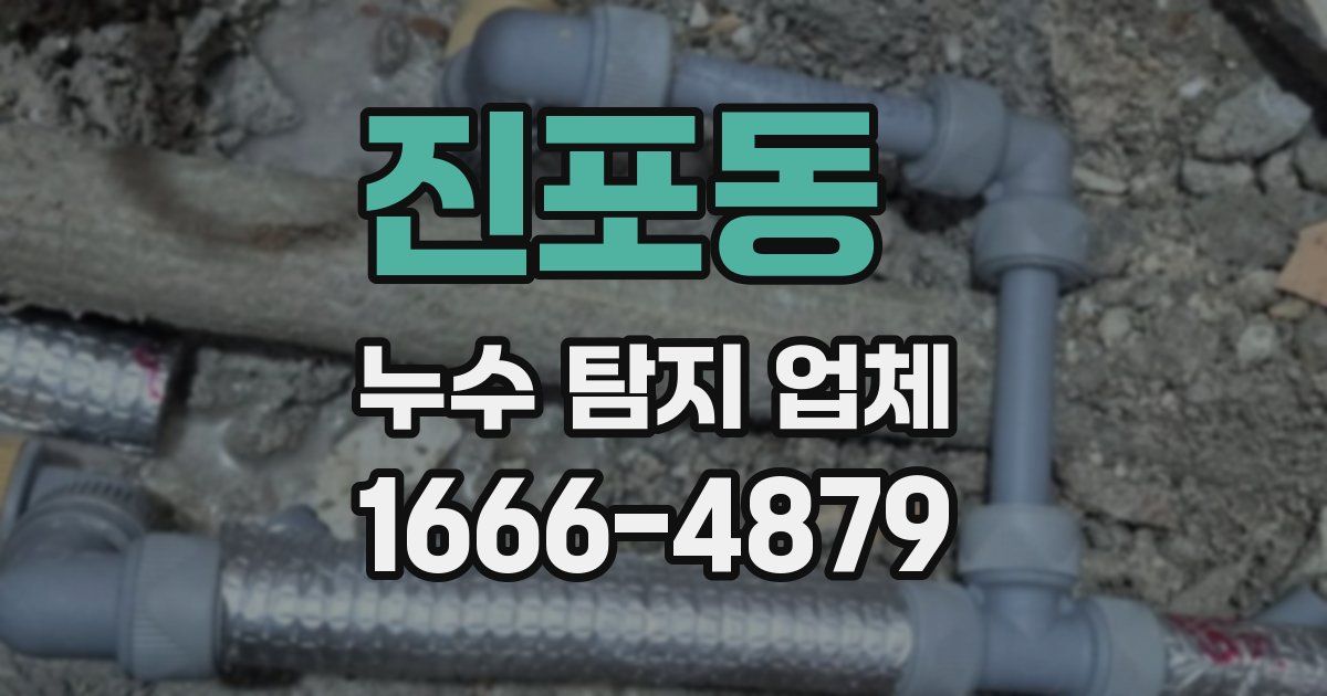 진포동 누수 탐지 업체