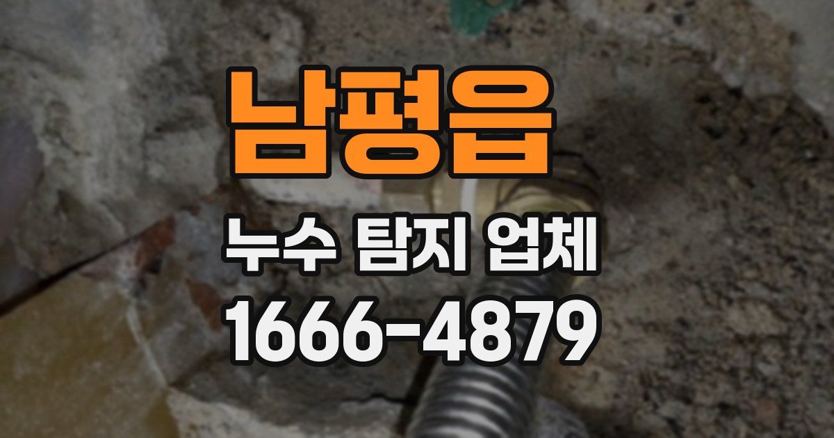 남평읍 누수 탐지 업체