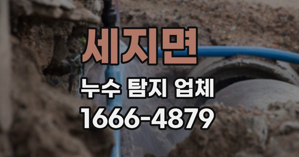 세지면 누수 탐지 업체