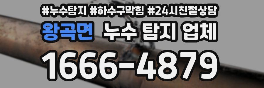 왕곡면 누수 탐지 업체