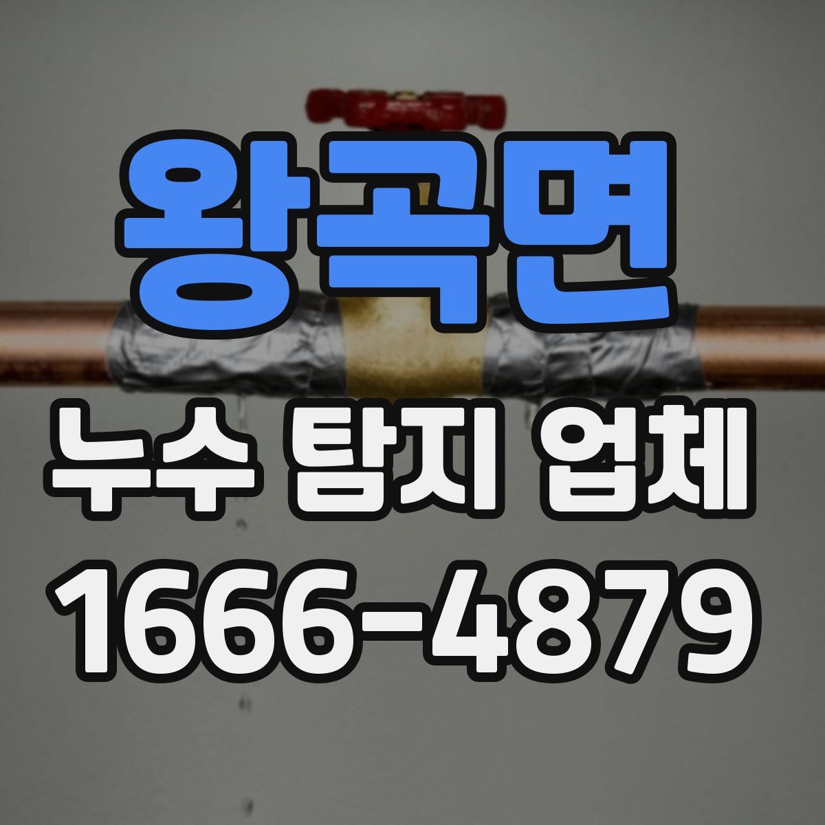 왕곡면 누수 탐지 업체
