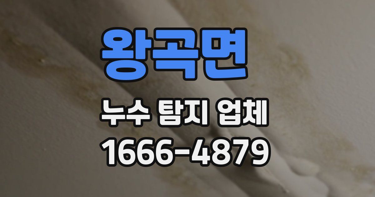 왕곡면 누수 탐지 업체