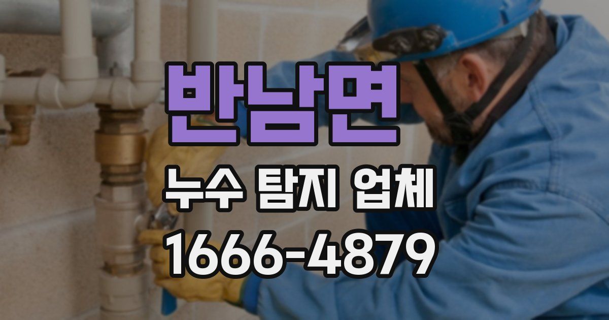 반남면 누수 탐지 업체