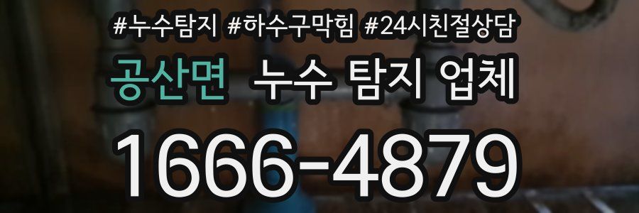 공산면 누수 탐지 업체