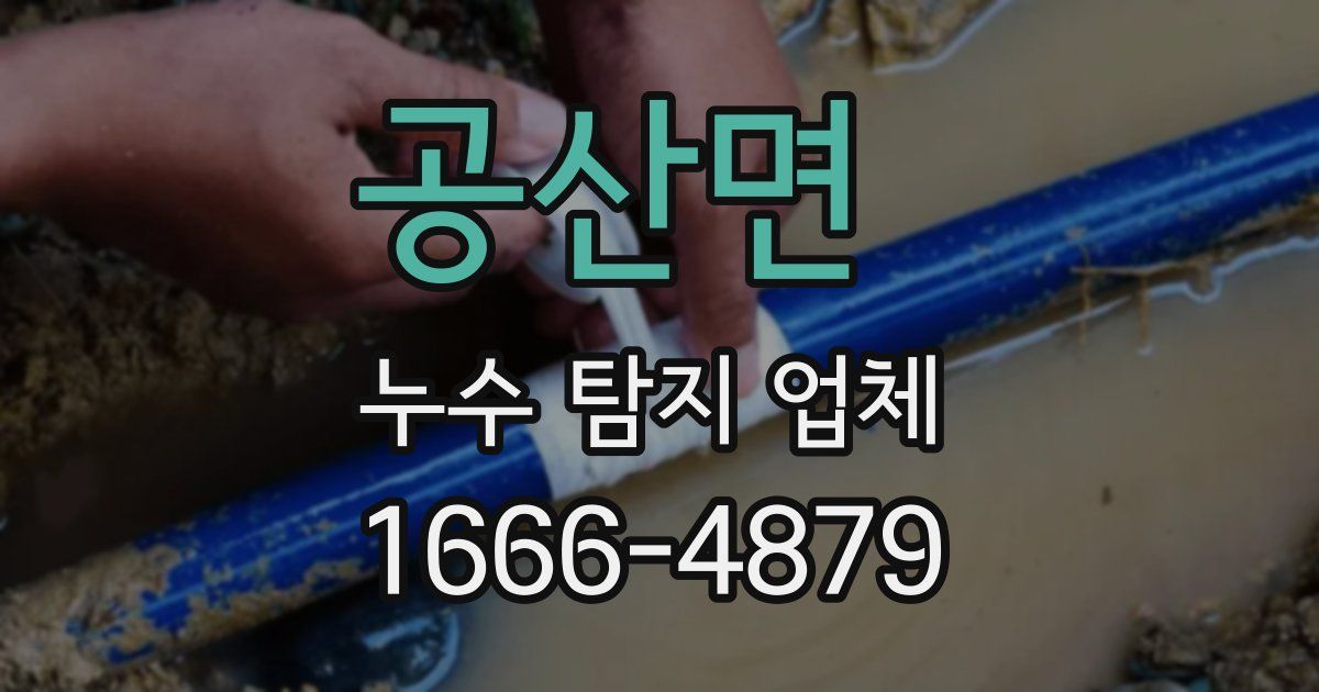 공산면 누수 탐지 업체