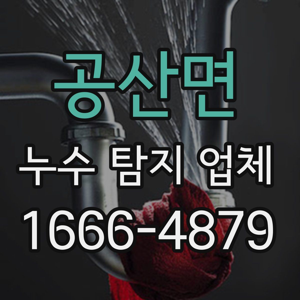 공산면 누수 탐지 업체