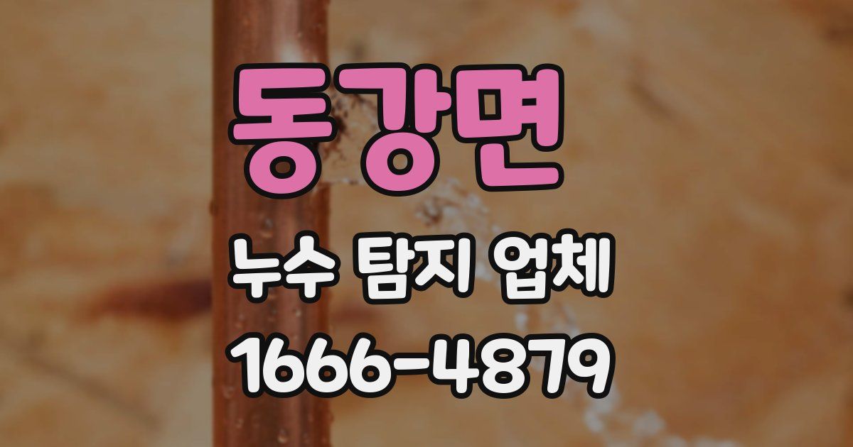 동강면 누수 탐지 업체