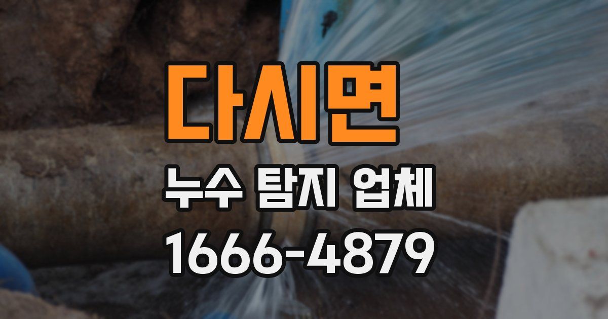 다시면 누수 탐지 업체