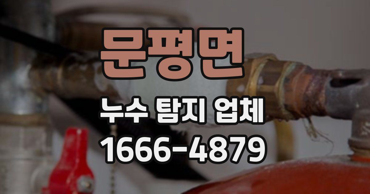 문평면 누수 탐지 업체