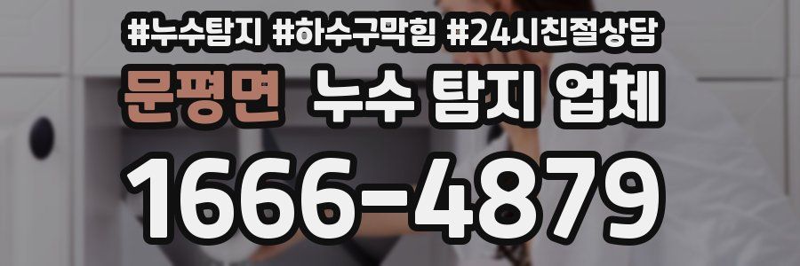 문평면 누수 탐지 업체