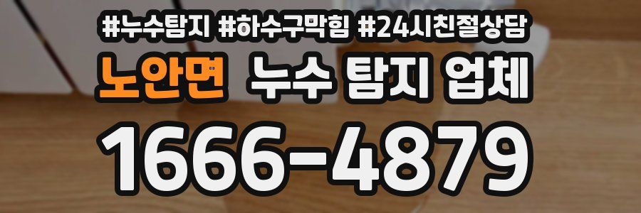 노안면 누수 탐지 업체