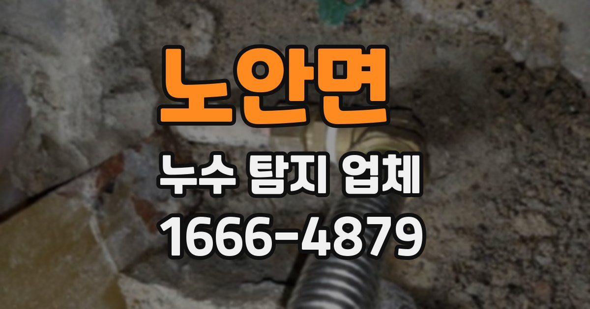 노안면 누수 탐지 업체
