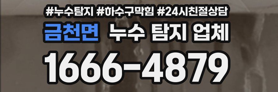금천면 누수 탐지 업체