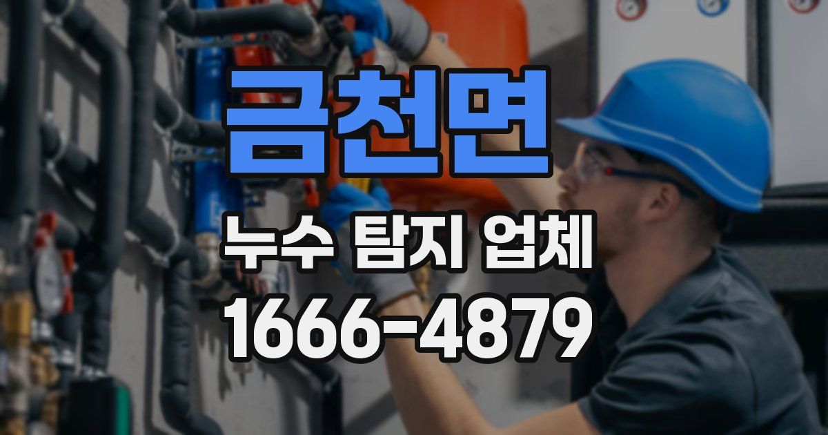 금천면 누수 탐지 업체