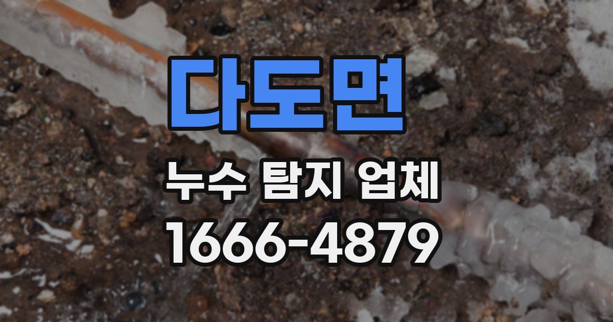 다도면 누수 탐지 업체