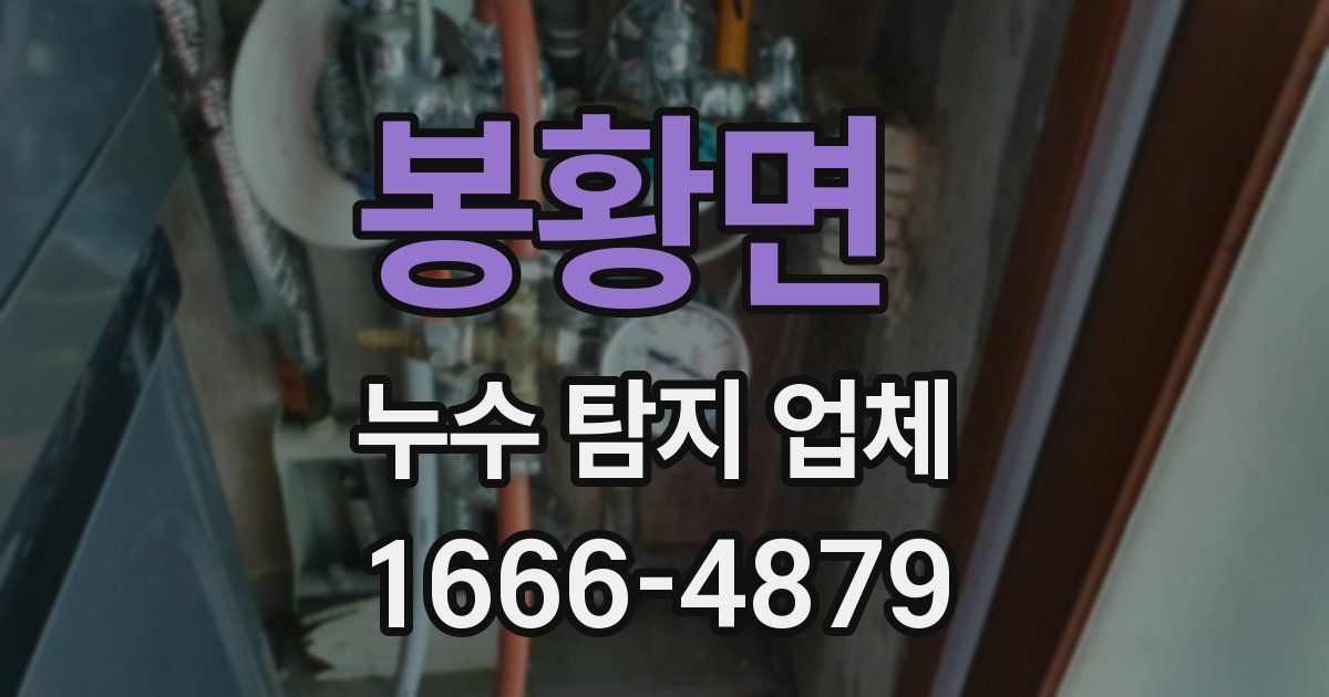 봉황면 누수 탐지 업체