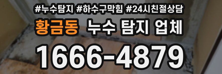 황금동 누수 탐지 업체