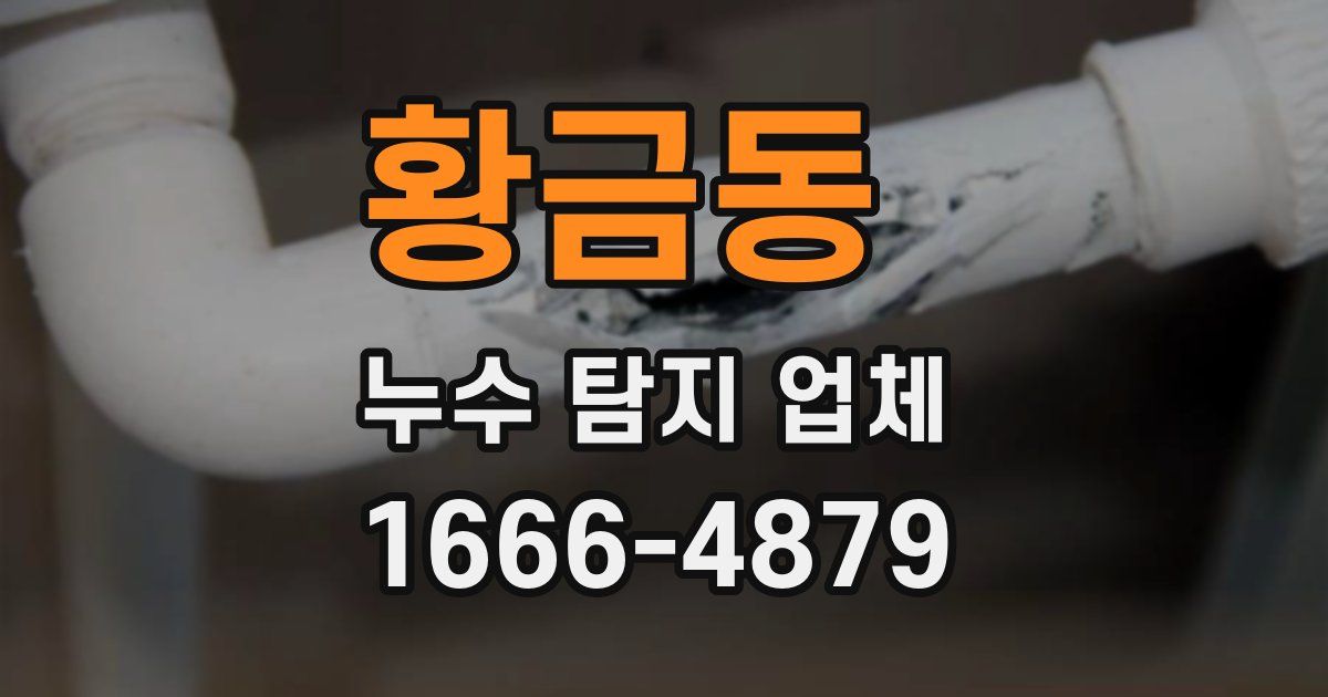 황금동 누수 탐지 업체