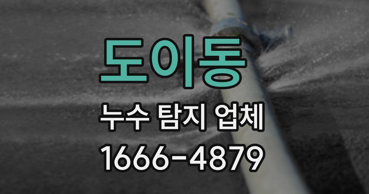 도이동 누수 탐지 업체