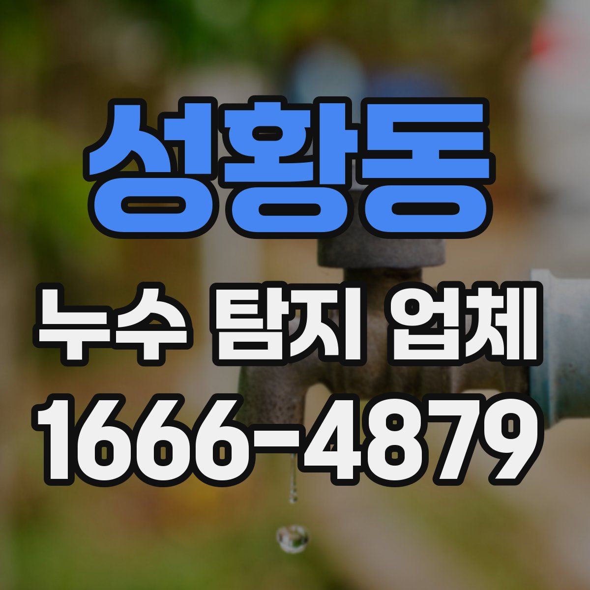 성황동 누수 탐지 업체