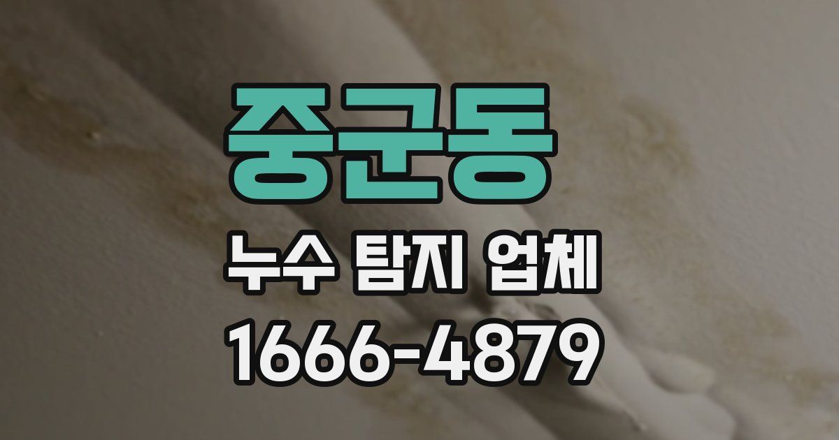 중군동 누수 탐지 업체