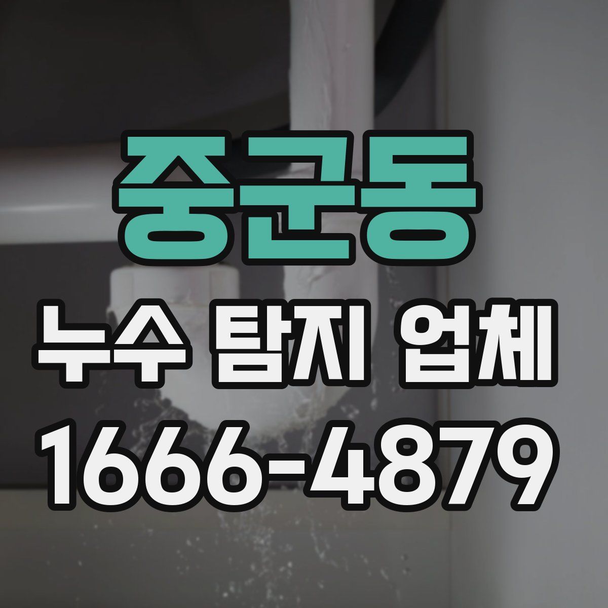 중군동 누수 탐지 업체