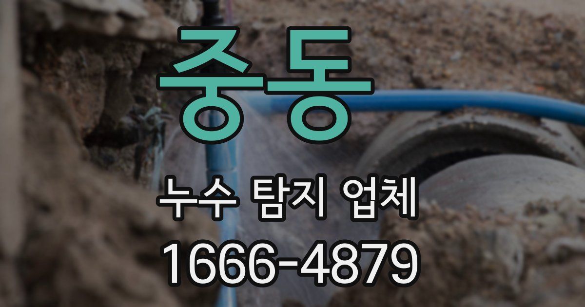 중동 누수 탐지 업체