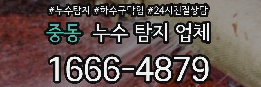 중동 누수 탐지 업체