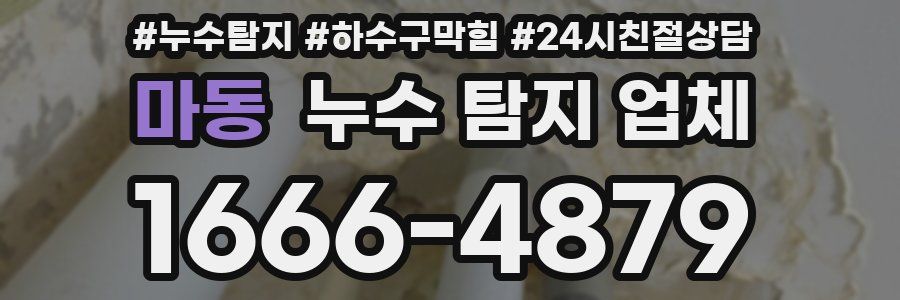 마동 누수 탐지 업체