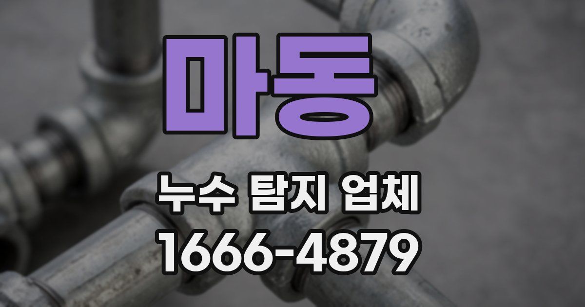 마동 누수 탐지 업체