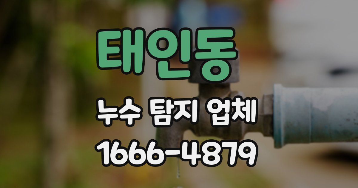 태인동 누수 탐지 업체