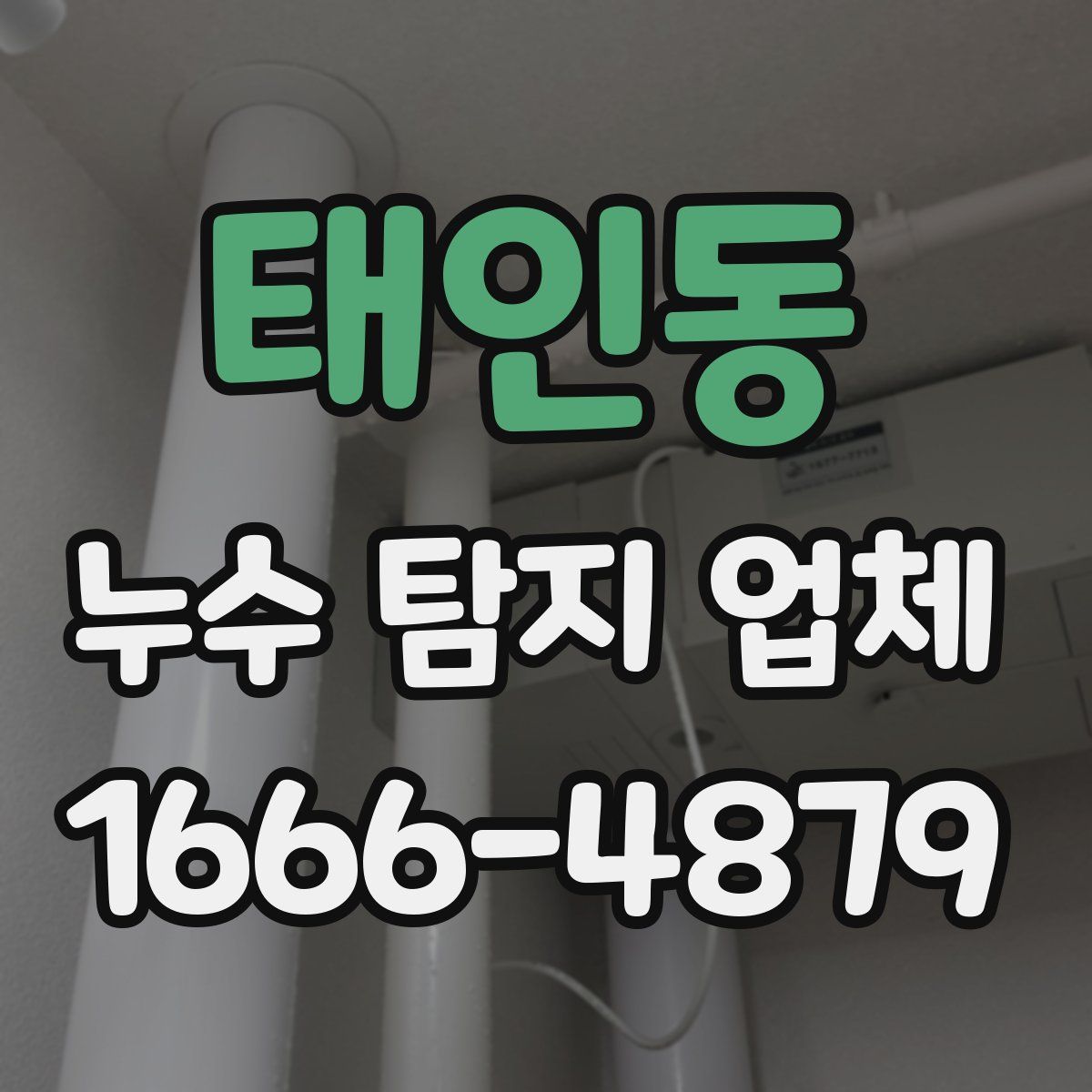 태인동 누수 탐지 업체