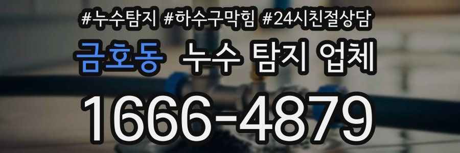 금호동 누수 탐지 업체