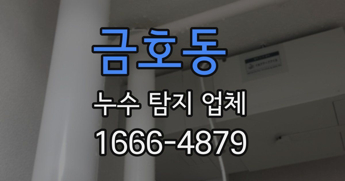금호동 누수 탐지 업체