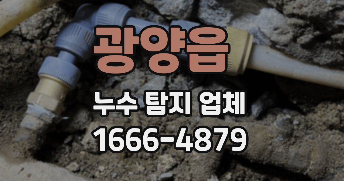 광양읍 누수 탐지 업체