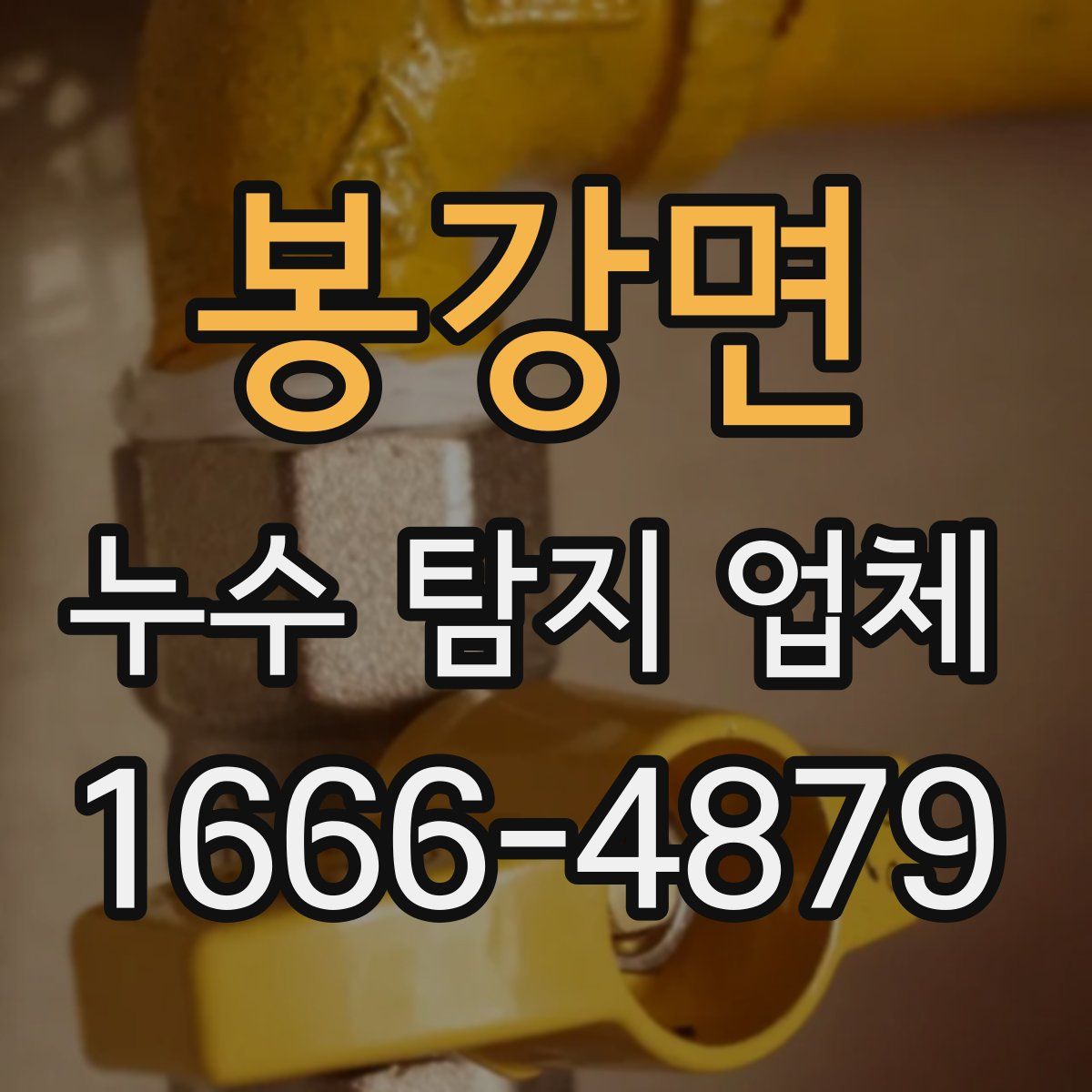 봉강면 누수 탐지 업체