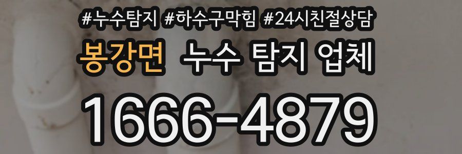 봉강면 누수 탐지 업체