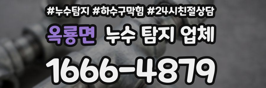 옥룡면 누수 탐지 업체