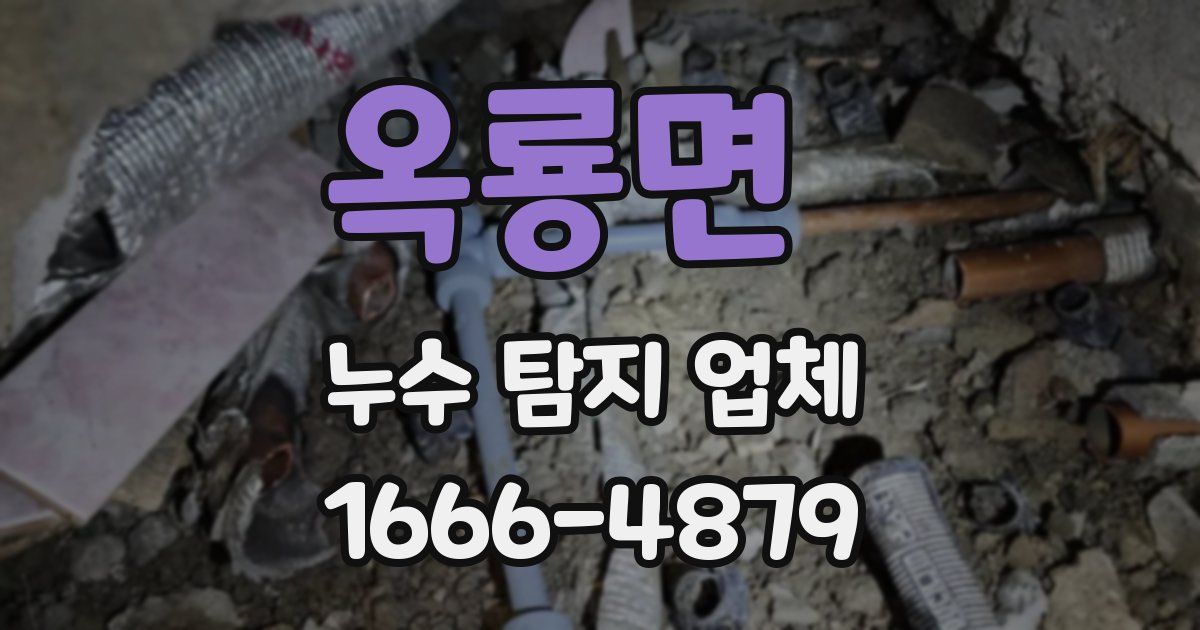 옥룡면 누수 탐지 업체