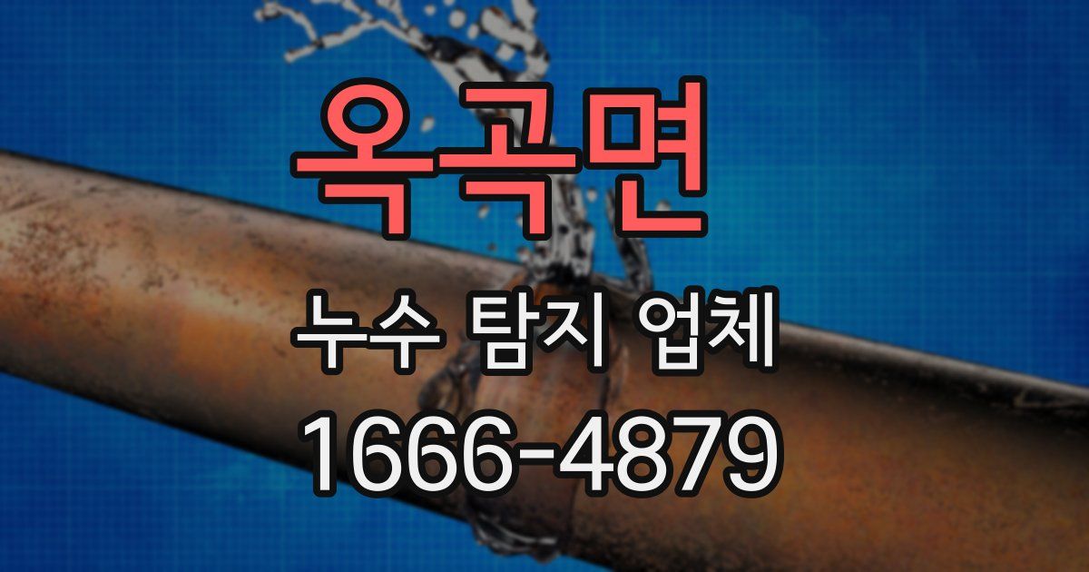 옥곡면 누수 탐지 업체