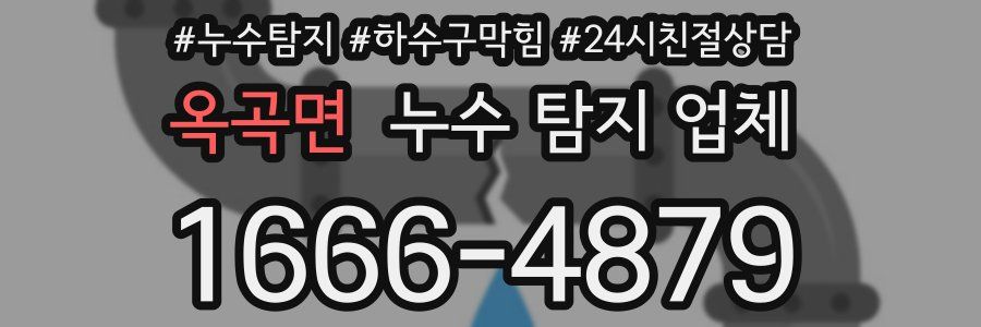 옥곡면 누수 탐지 업체