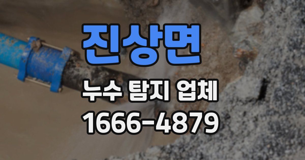 진상면 누수 탐지 업체