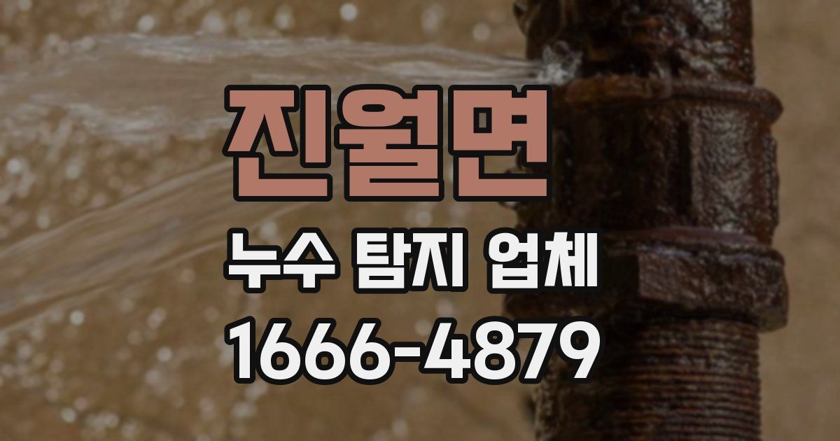 진월면 누수 탐지 업체