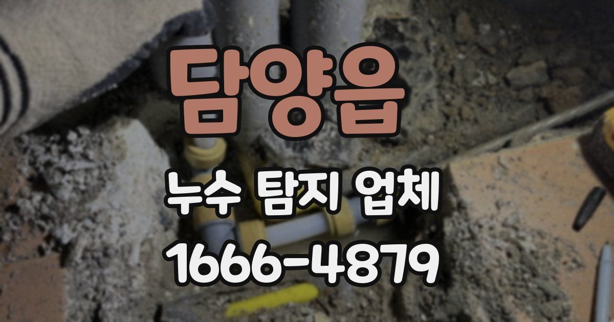 담양읍 누수 탐지 업체