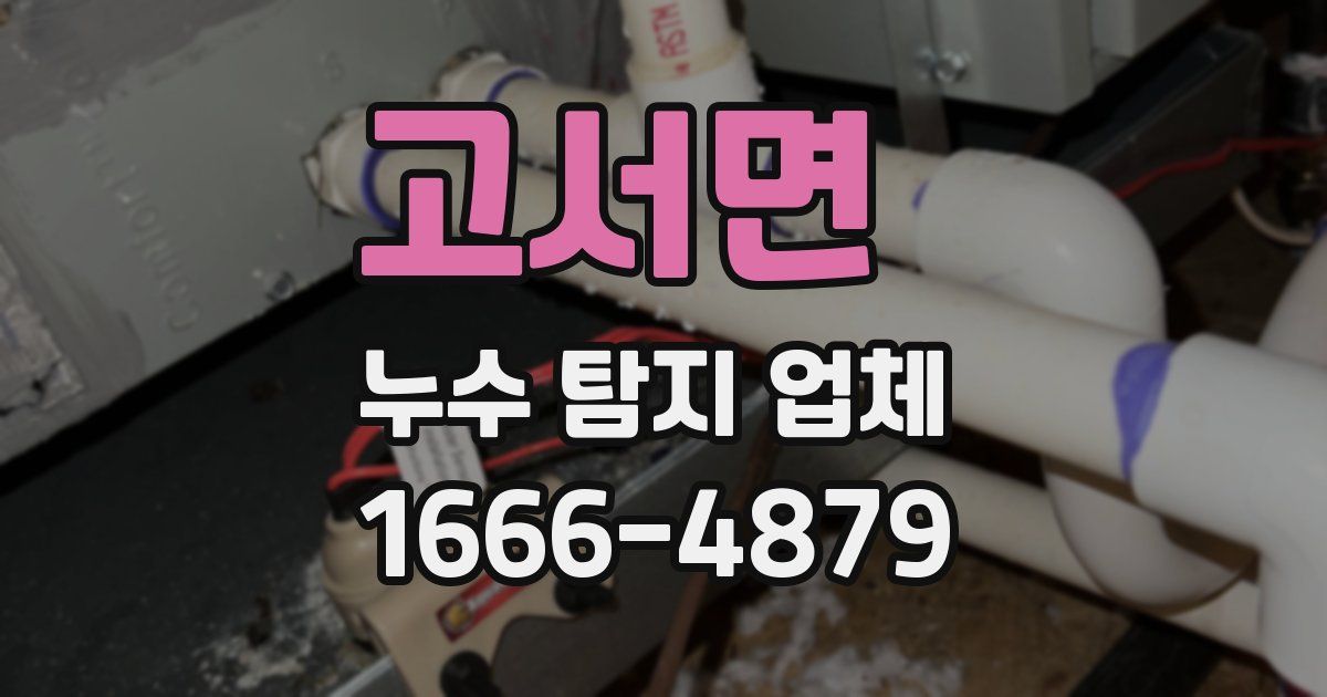고서면 누수 탐지 업체