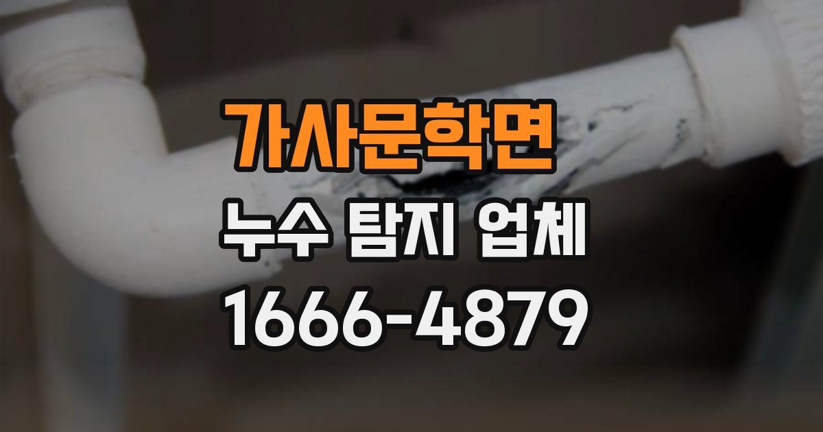 가사문학면 누수 탐지 업체