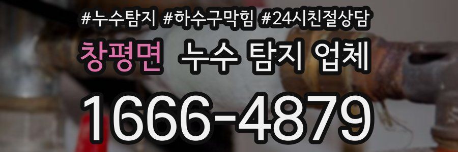 창평면 누수 탐지 업체