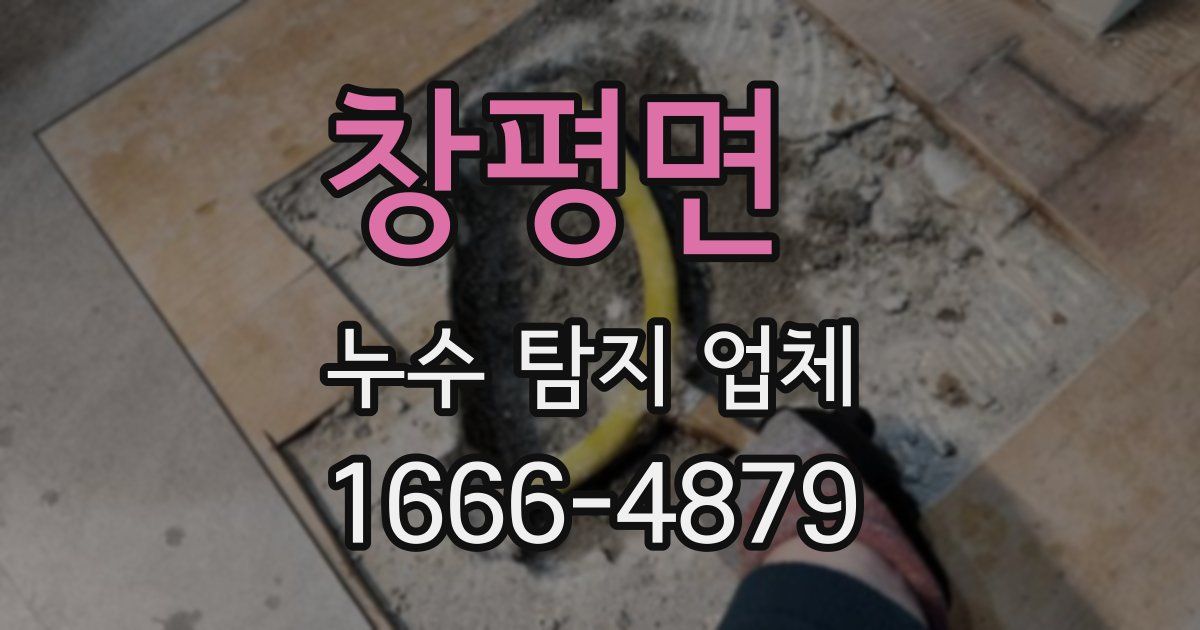 창평면 누수 탐지 업체