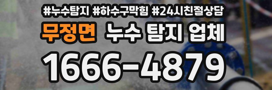 무정면 누수 탐지 업체