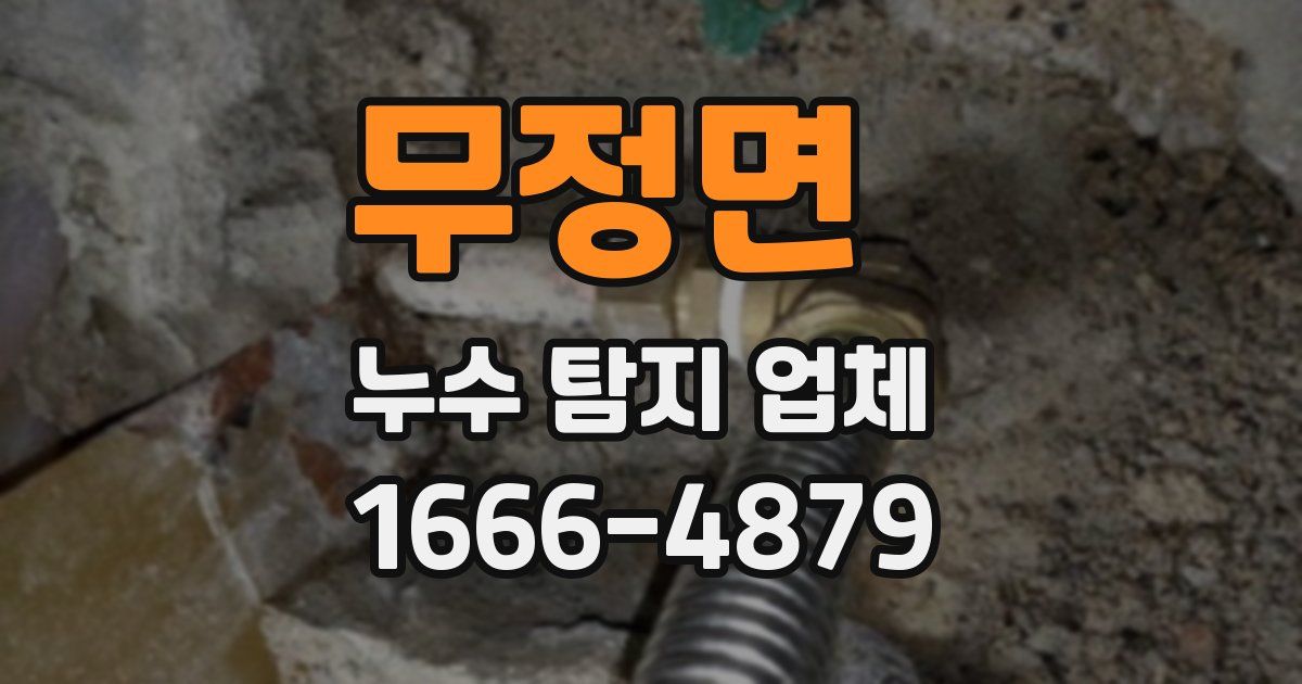 무정면 누수 탐지 업체